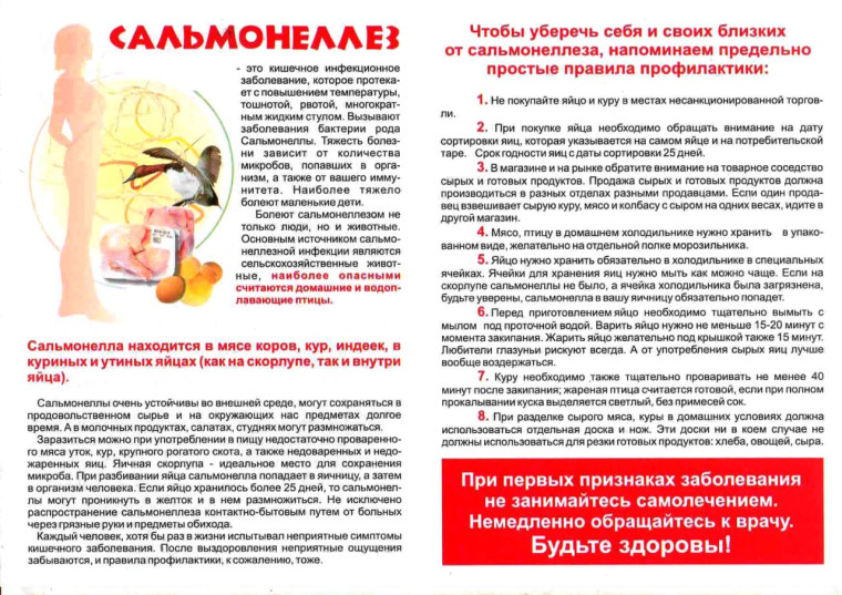 Сальмонеллёз.